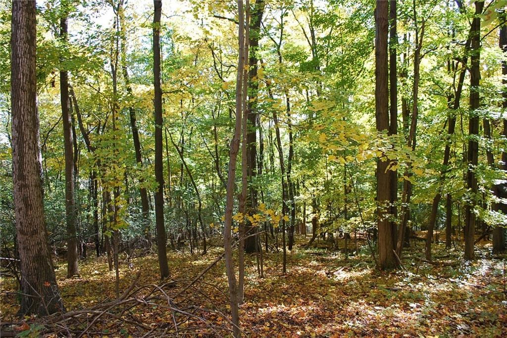 0 Esperanza Road Keuka Park, NY 14478 - Photo 17 of 33