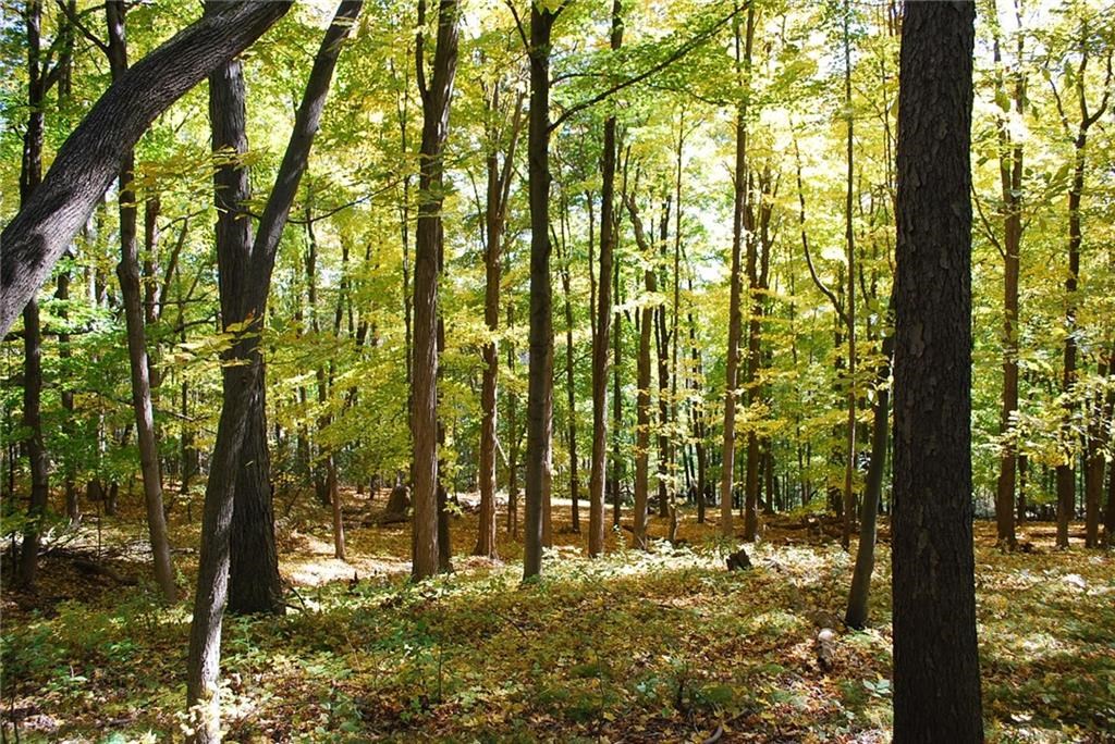 0 Esperanza Road Keuka Park, NY 14478 - Photo 18 of 33