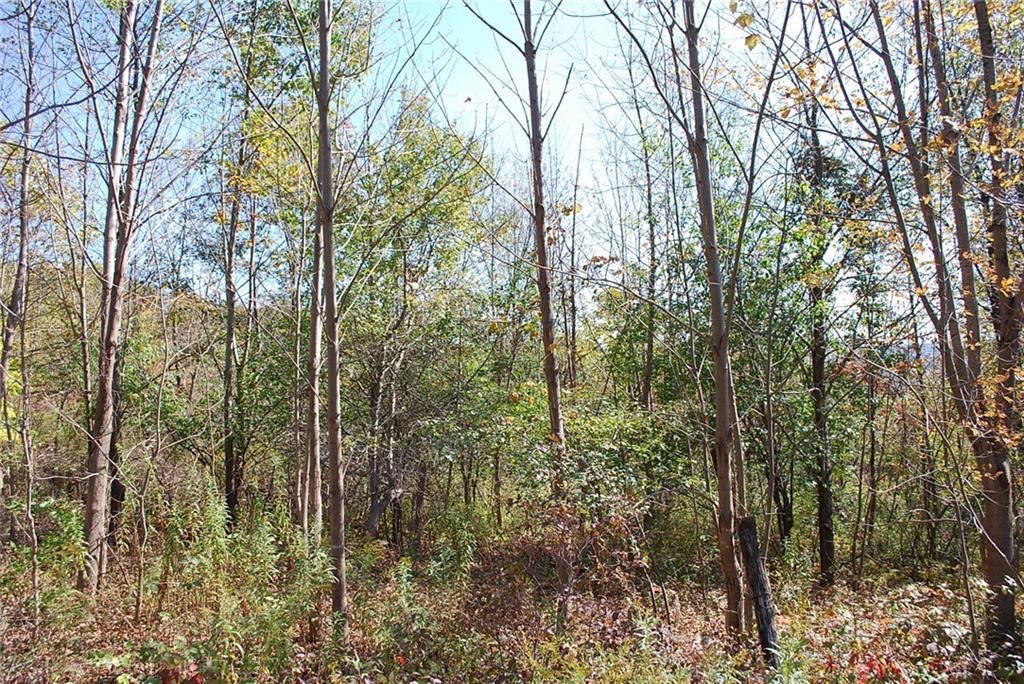 0 Esperanza Road Keuka Park, NY 14478 - Photo 19 of 33