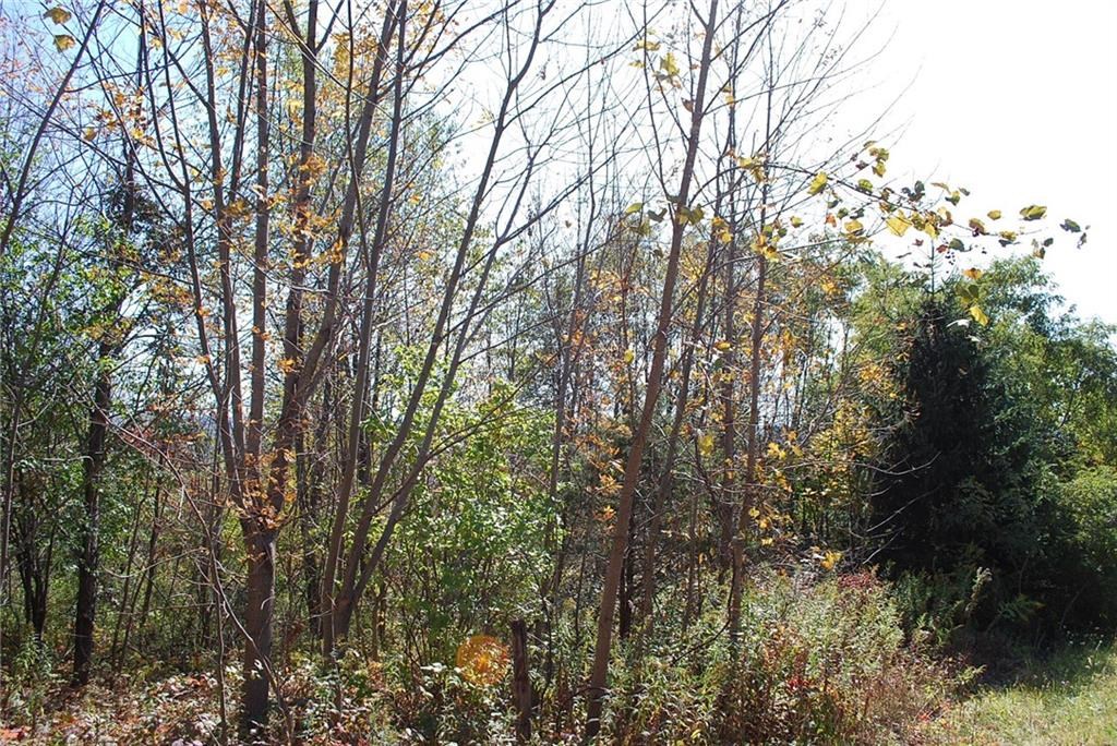 0 Esperanza Road Keuka Park, NY 14478 - Photo 20 of 33