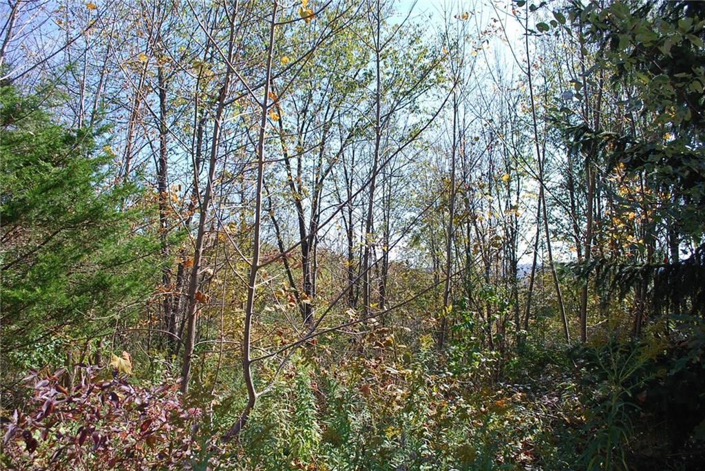 0 Esperanza Road Keuka Park, NY 14478 - Photo 21 of 33