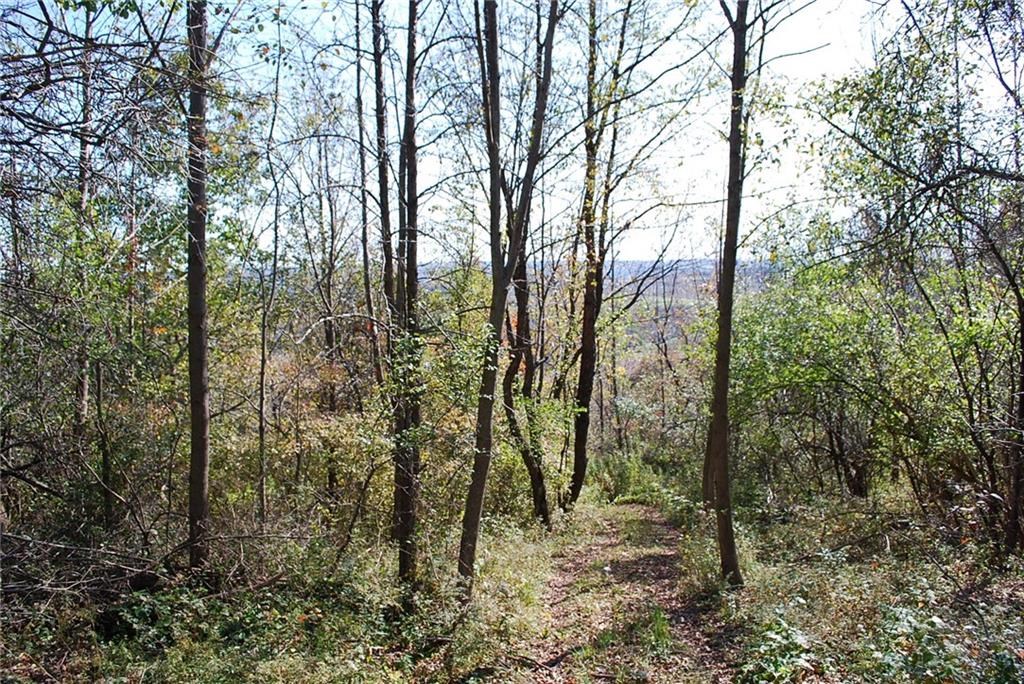 0 Esperanza Road Keuka Park, NY 14478 - Photo 25 of 33