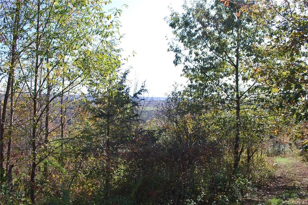 0 Esperanza Road Keuka Park, NY 14478 - Photo 26 of 33