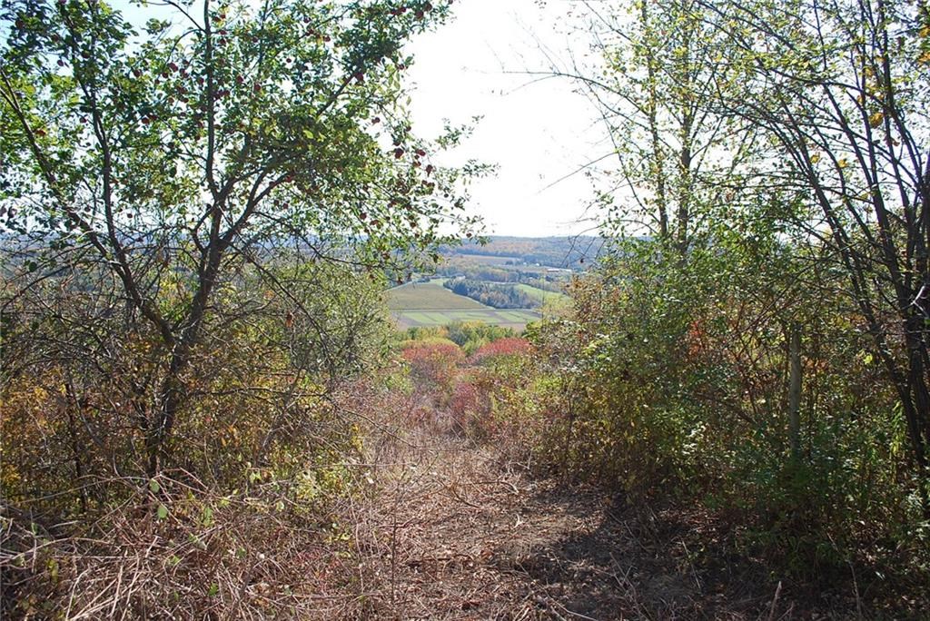 0 Esperanza Road Keuka Park, NY 14478 - Photo 28 of 33