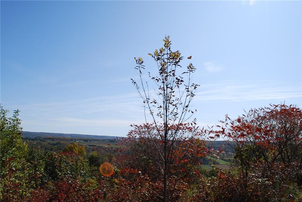 0 Esperanza Road Keuka Park, NY 14478 - Photo 29 of 33