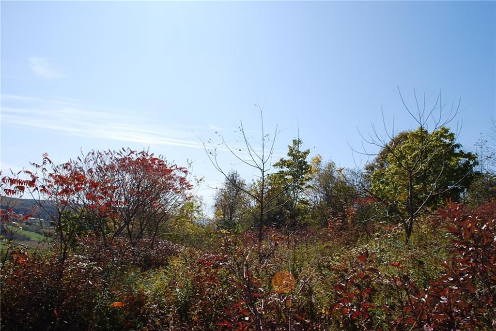 0 Esperanza Road Keuka Park, NY 14478 - Photo 30 of 33