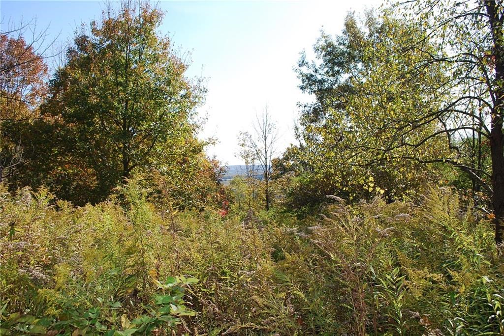 0 Esperanza Road Keuka Park, NY 14478 - Photo 5 of 33