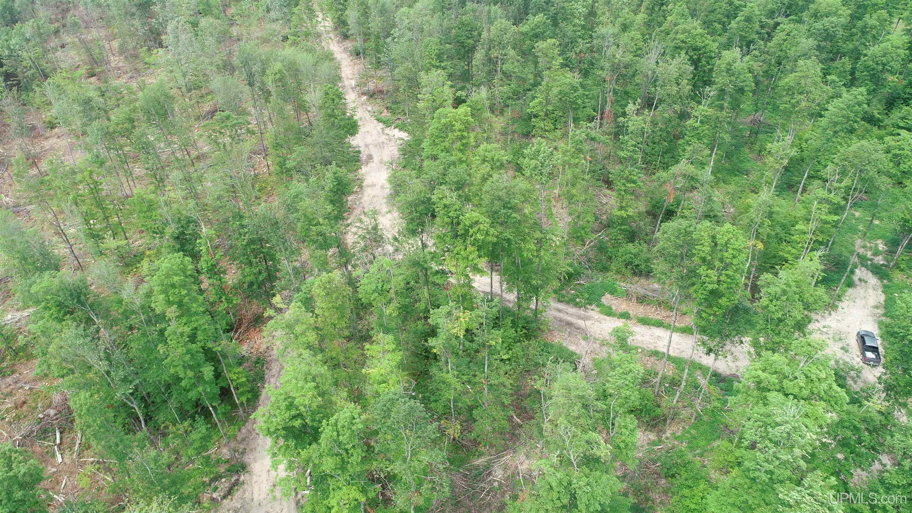 23 Camp 23 Road, Unit SOUTH PARCEL Germfask, MI 49836 - Photo 3 of 9