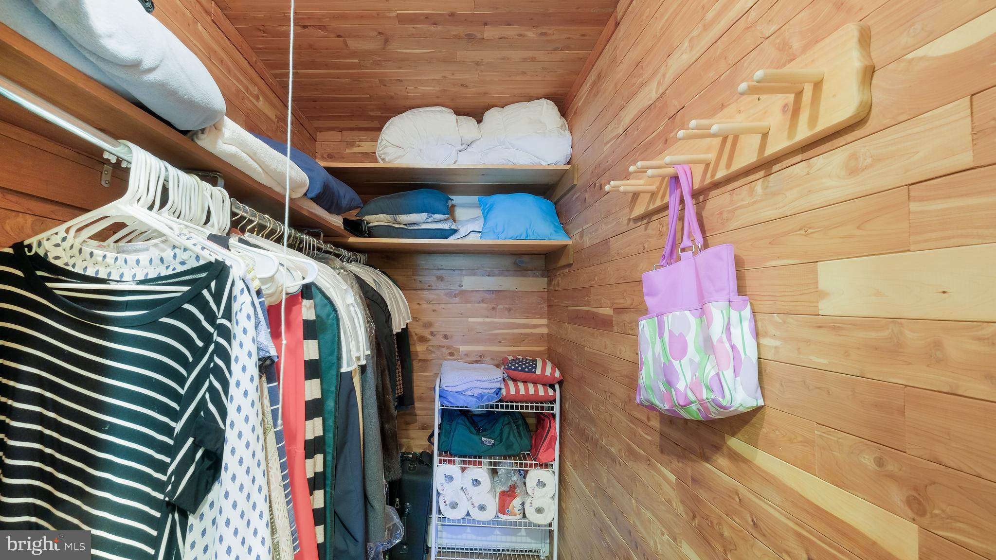 12 Pine Valley Road Doylestown, PA 18901 - Photo 39 of 63 a view of walk in closet with clothes and shoes