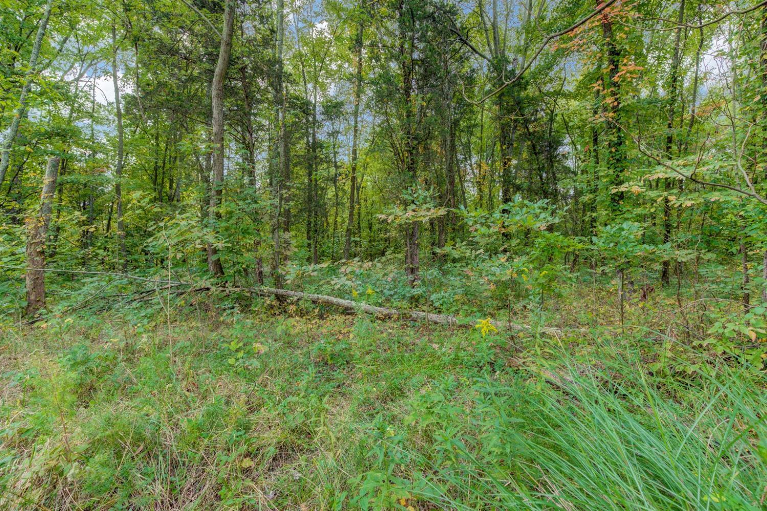 A Locust Lake Road Amelia, OH 45102 - Photo 13 of 45 Gallery Image 13