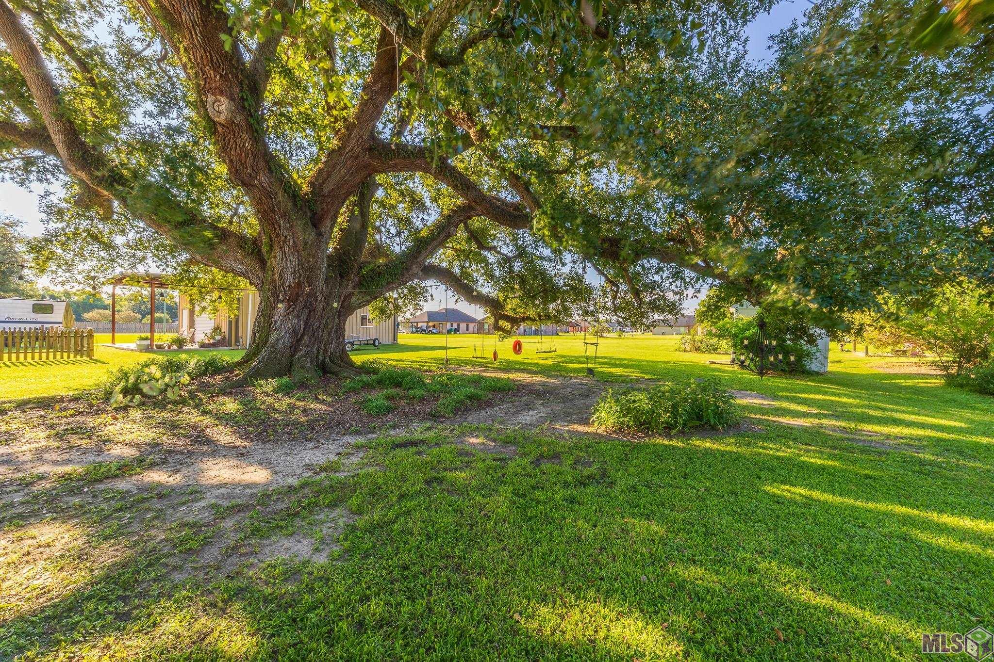 3426 Highway 1 Raceland, LA 70394 - Photo 22 of 35
