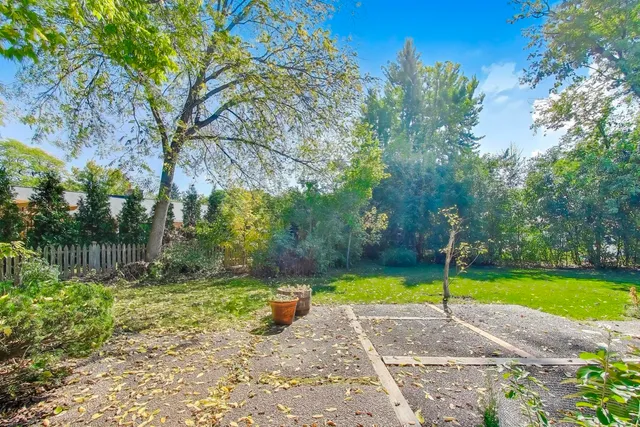 a view of a park with large trees