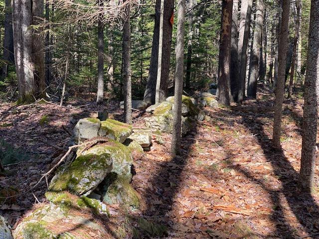0 Bunganuc Road Brunswick, ME 04011 - Photo 5 of 12 IMG_7355