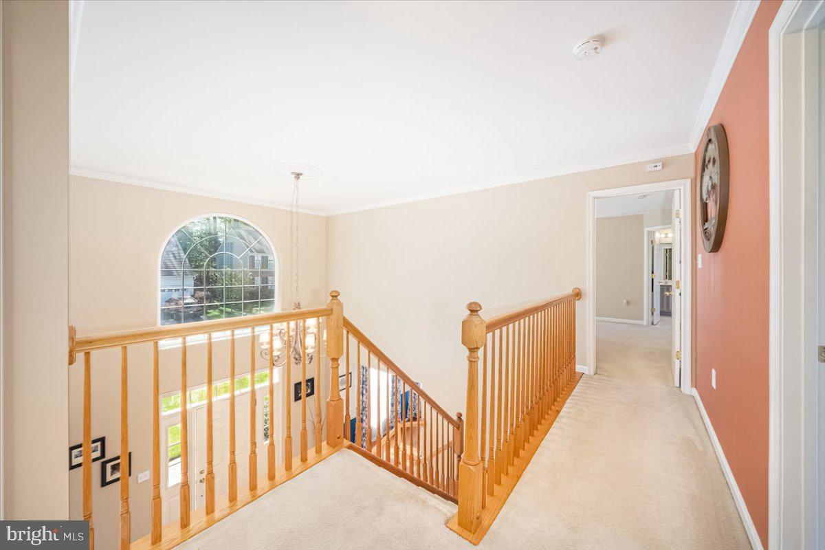 5720 Little Spring Way Frederick, MD 21704 - Photo 34 of 77