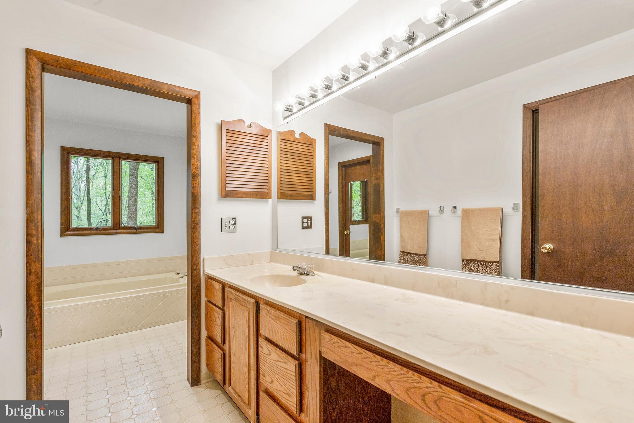 3200 Hickory Ridge Road Dunkirk, MD 20754 - Photo 27 of 44 a spacious bathroom with a granite countertop sink and a large mirror