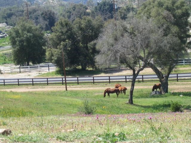44545 De Portola Road Temecula, CA 92592 - Photo 1 of 1 front pasture