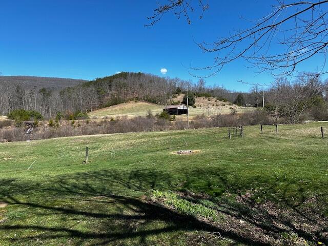 2071 Dicks Creek Road New Castle, VA 24127 - Photo 19 of 34 IMG_6407