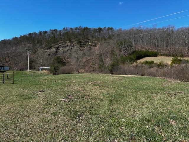 2071 Dicks Creek Road New Castle, VA 24127 - Photo 31 of 34 IMG_6422