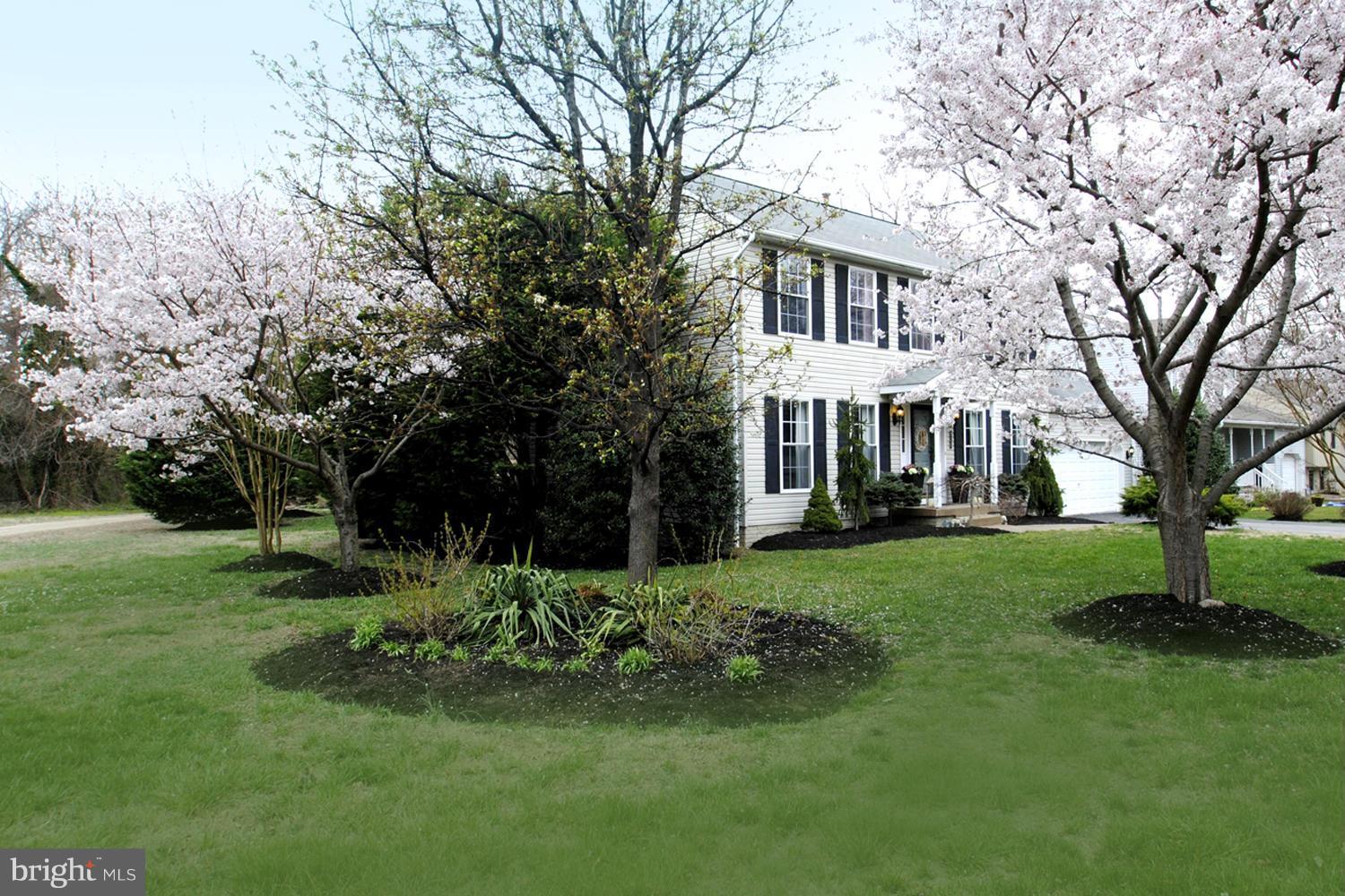Verdant Corner Lot / Low Traffic Near Street's End