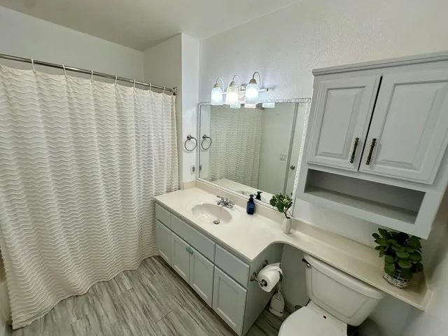 a bathroom with a sink a toilet and shower curtain