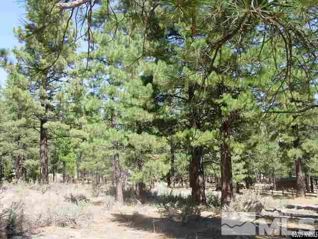 730 Piney Creek Road Reno, NV 89511 - Photo 1 of 2 Photo 1