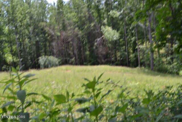 2390 Pea Ridge Fire Tower Road Celina, TN 38551 - Photo 4 of 58 DSC_0069