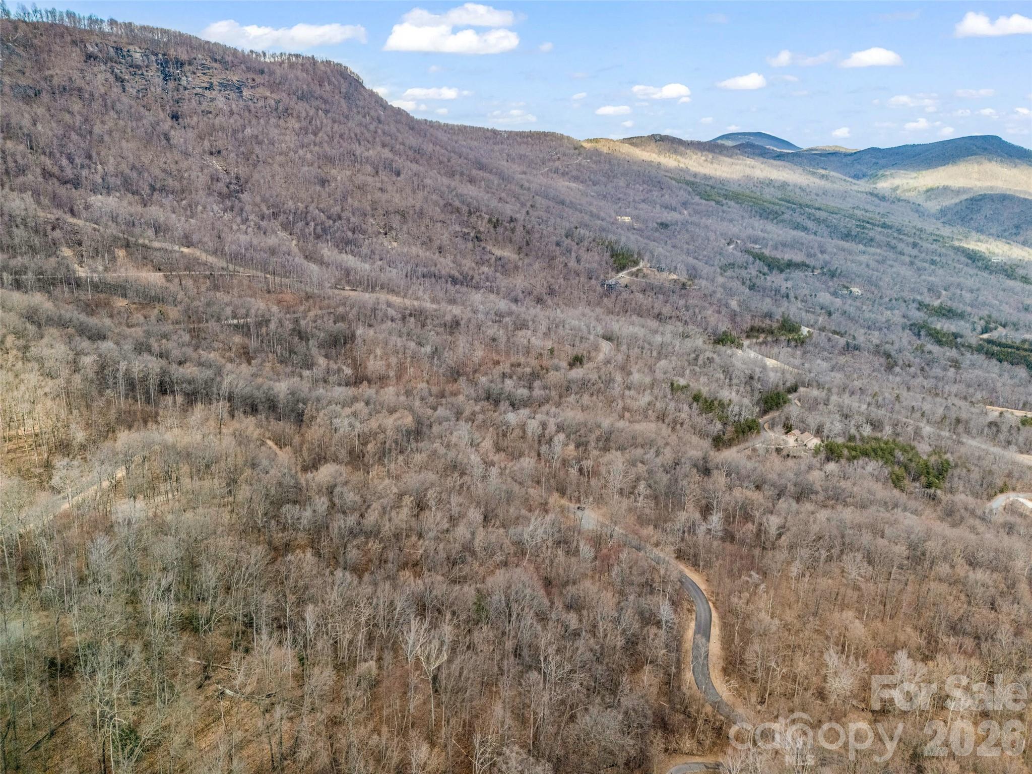 2128 Harm Creek Loop Mill Spring Mill Spring, NC 28756 - Photo 11 of 28 a view of a dry yard with mountains in the background