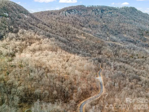 a view of a dry yard