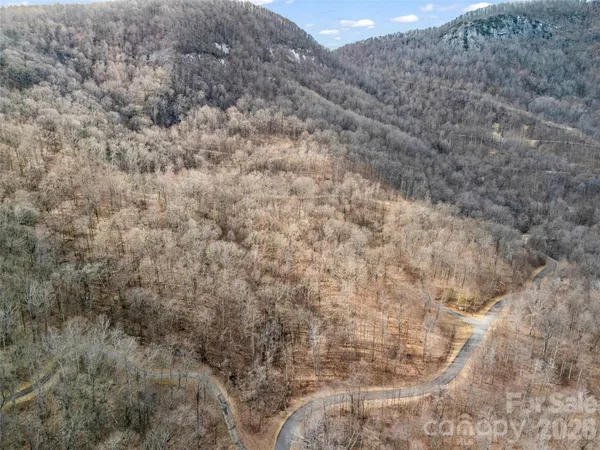 a view of a dry yard