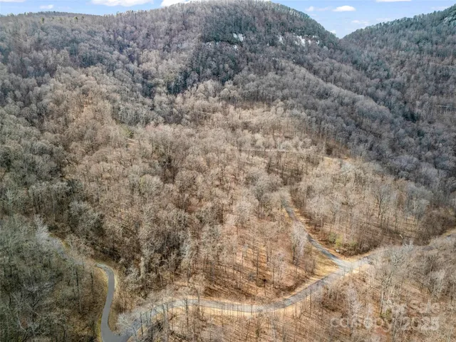 a view of a dry yard