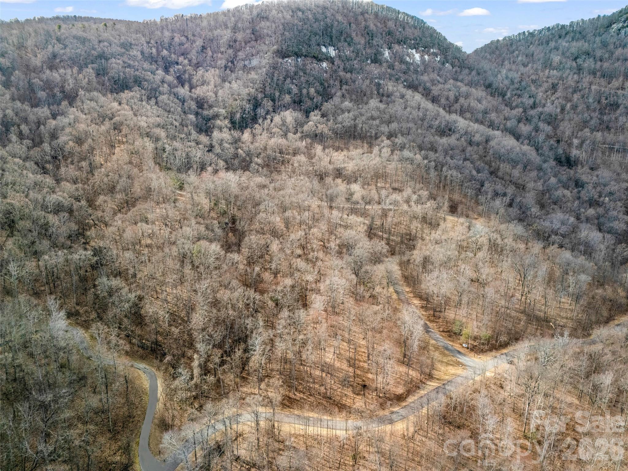2128 Harm Creek Loop Mill Spring Mill Spring, NC 28756 - Photo 14 of 28 a view of a dry yard