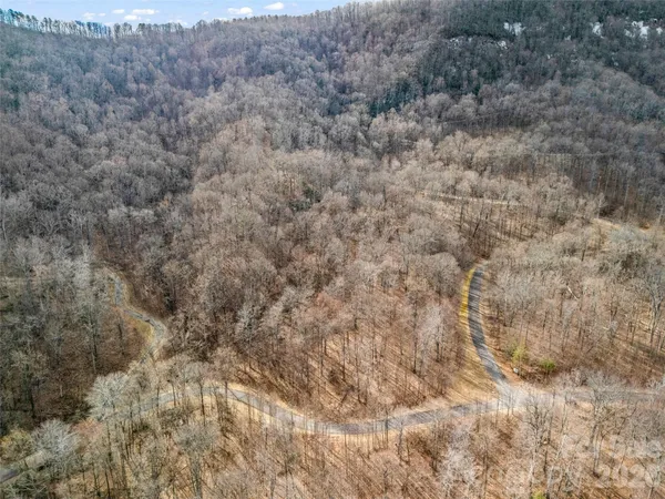 a view of a dry yard