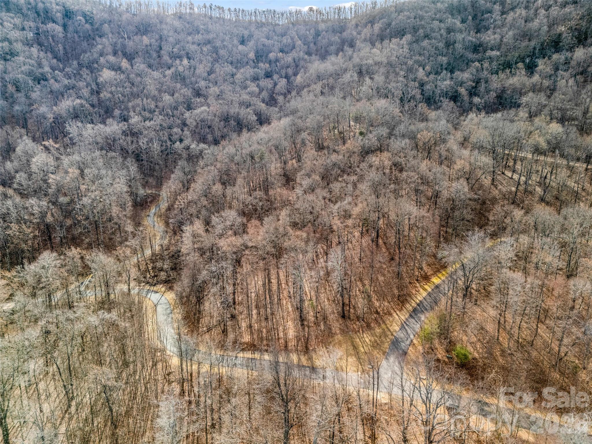 2128 Harm Creek Loop Mill Spring Mill Spring, NC 28756 - Photo 16 of 28 a view of a yard