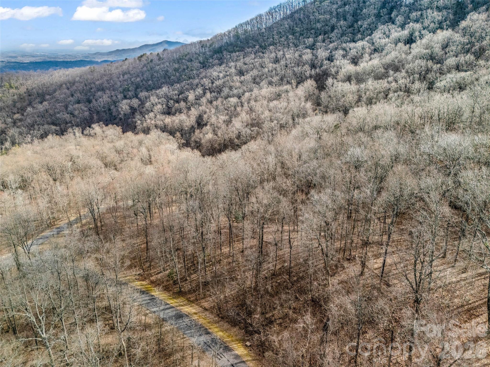 2128 Harm Creek Loop Mill Spring Mill Spring, NC 28756 - Photo 17 of 28 a view of a dry yard