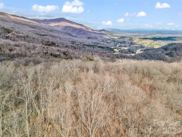 a view of a yard with plants