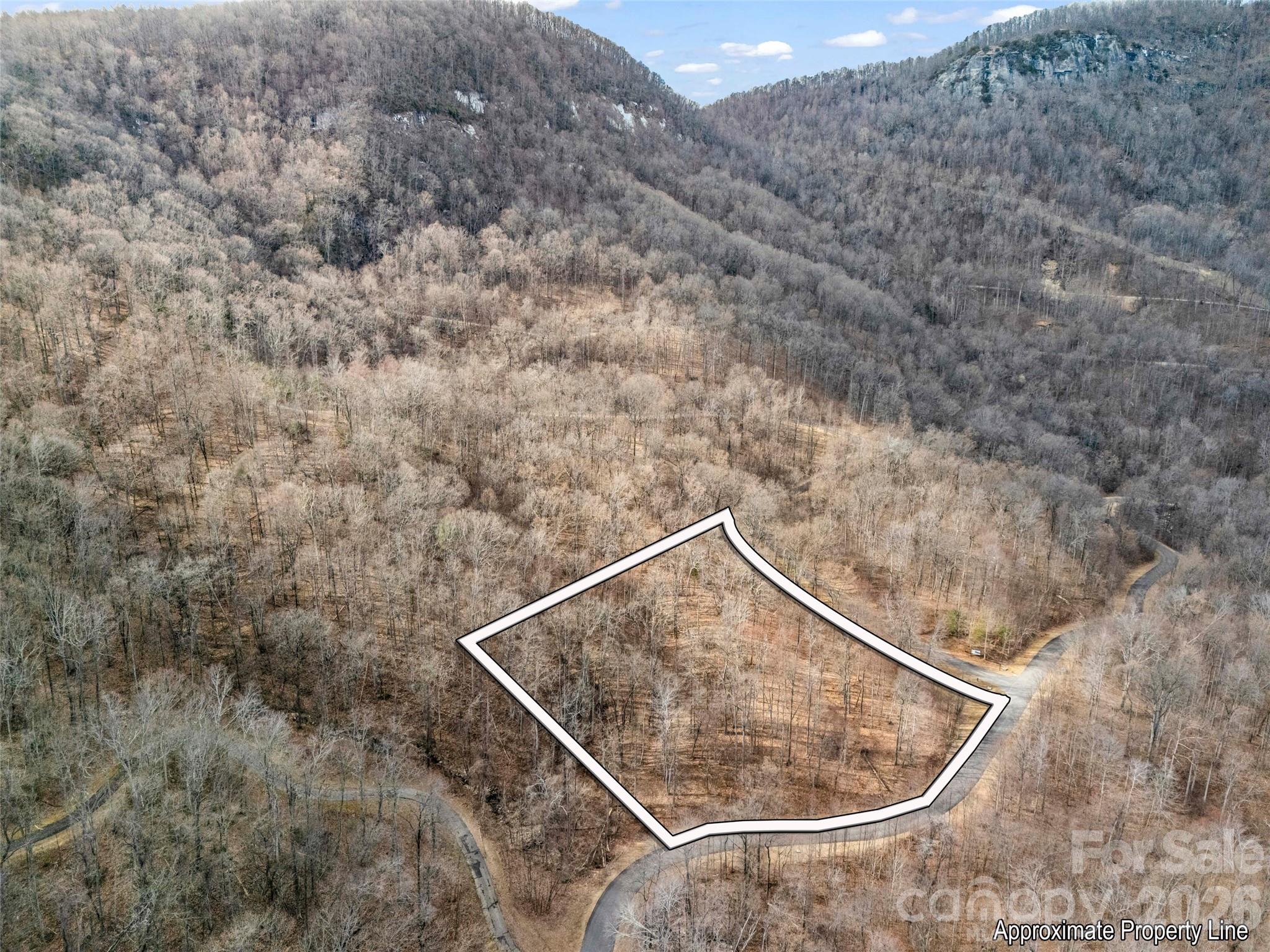 2128 Harm Creek Loop Mill Spring Mill Spring, NC 28756 - Photo 3 of 28