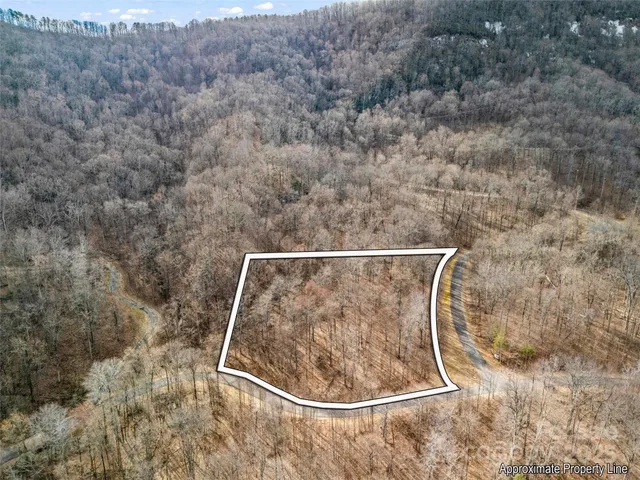 a view of a dry yard