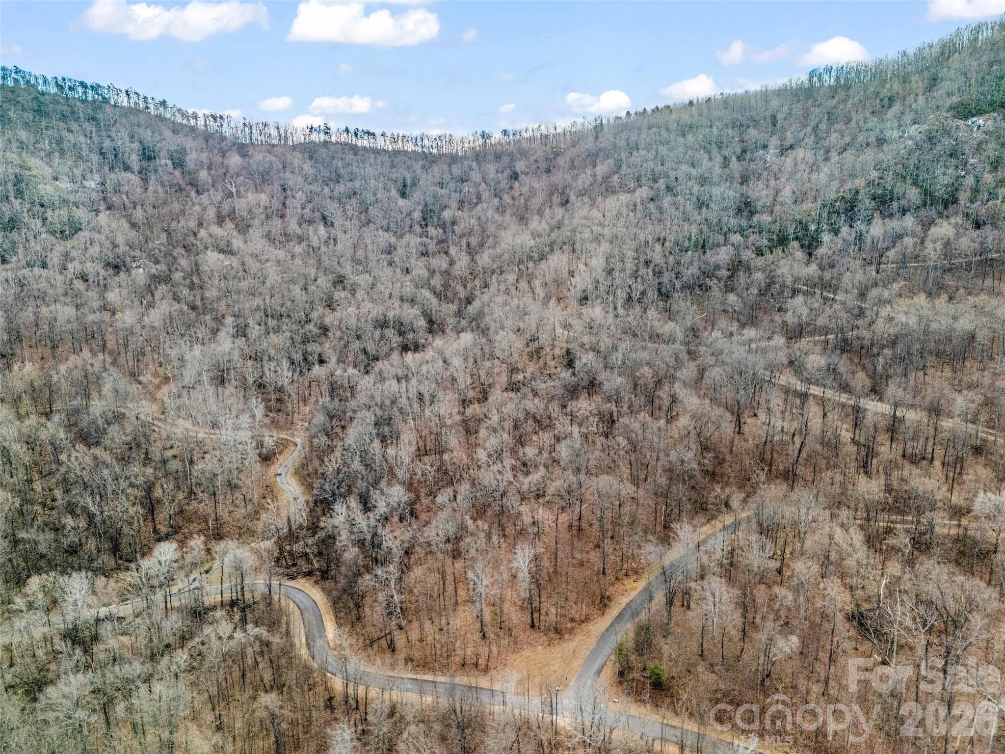 2128 Harm Creek Loop Mill Spring Mill Spring, NC 28756 - Photo 5 of 28 a view of a dry yard