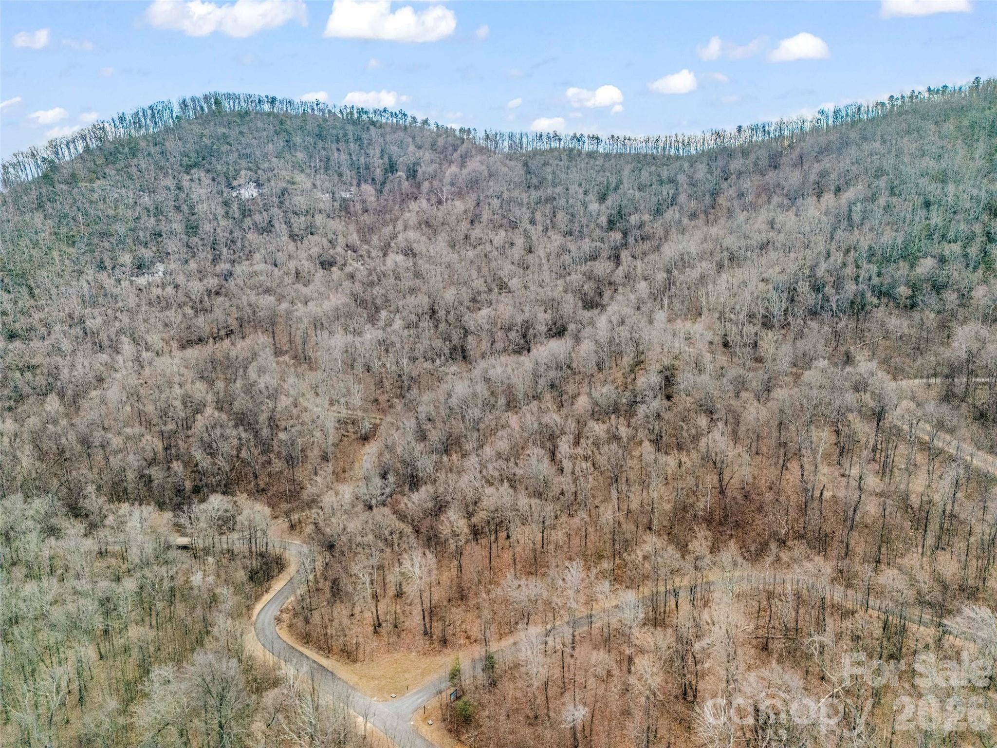 2128 Harm Creek Loop Mill Spring Mill Spring, NC 28756 - Photo 6 of 28 a view of a dry yard with mountains in the background