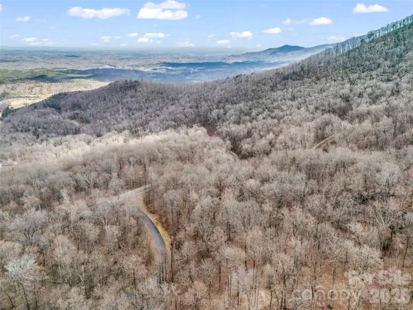 a view of a dry yard