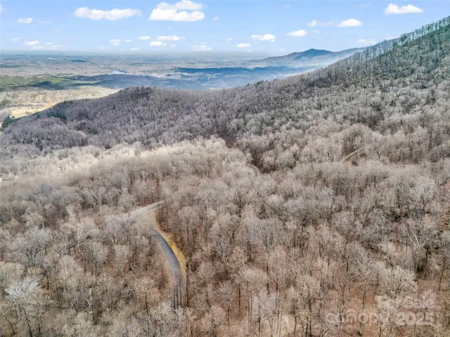 a view of a dry yard