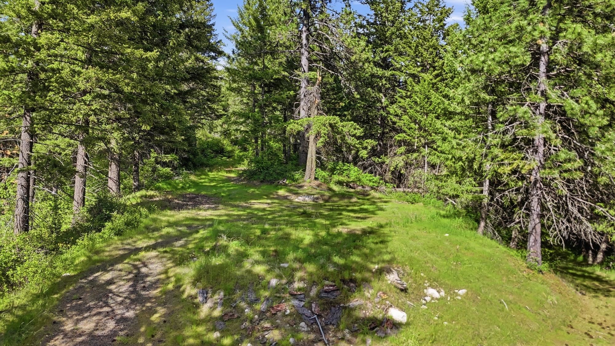 15727 North Koth Road Newman Lake, WA 99025 - Photo 13 of 16