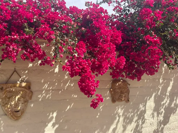 $69,999 | 84136 Ave 44, Unit 619, Indio, CA 92203