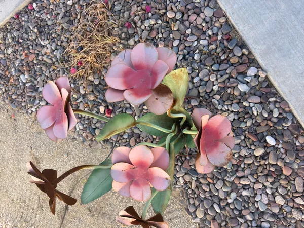 $69,999 | 84136 Ave 44, Unit 619, Indio, CA 92203