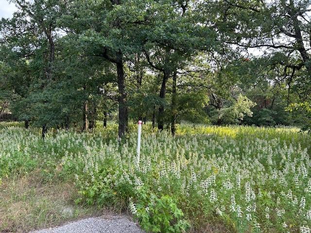 3.760-acres Boyd Road Azle, TX 76020 - Photo 2 of 6 a view of a garden