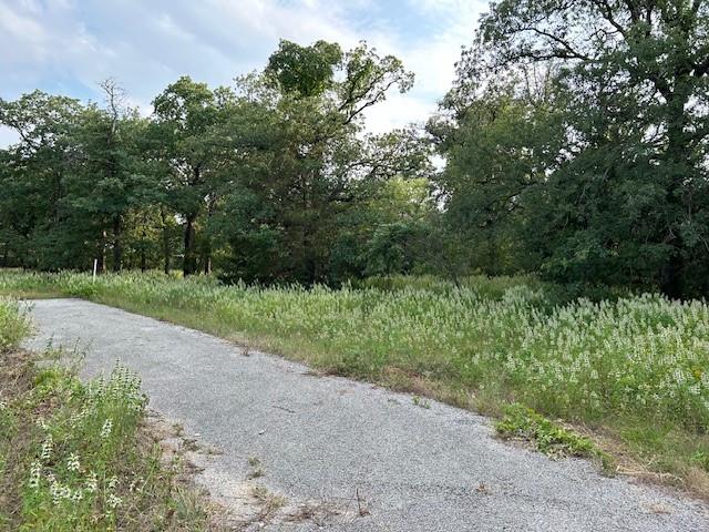 3.760-acres Boyd Road Azle, TX 76020 - Photo 3 of 6 a view of outdoor space and yard