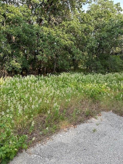 3.760-acres Boyd Road Azle, TX 76020 - Photo 4 of 6 a view of a yard with plants and a tree