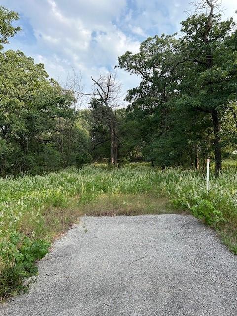3.760-acres Boyd Road Azle, TX 76020 - Photo 5 of 6 a view of outdoor space and yard