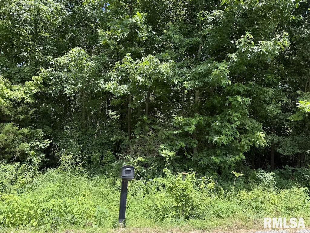 3126 Vermont Road Carterville, IL 62918 - Photo 2 of 4