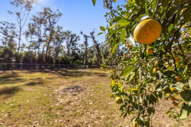 $274,000 | 8323 Summerdale Lane, Tallahassee, FL 32311